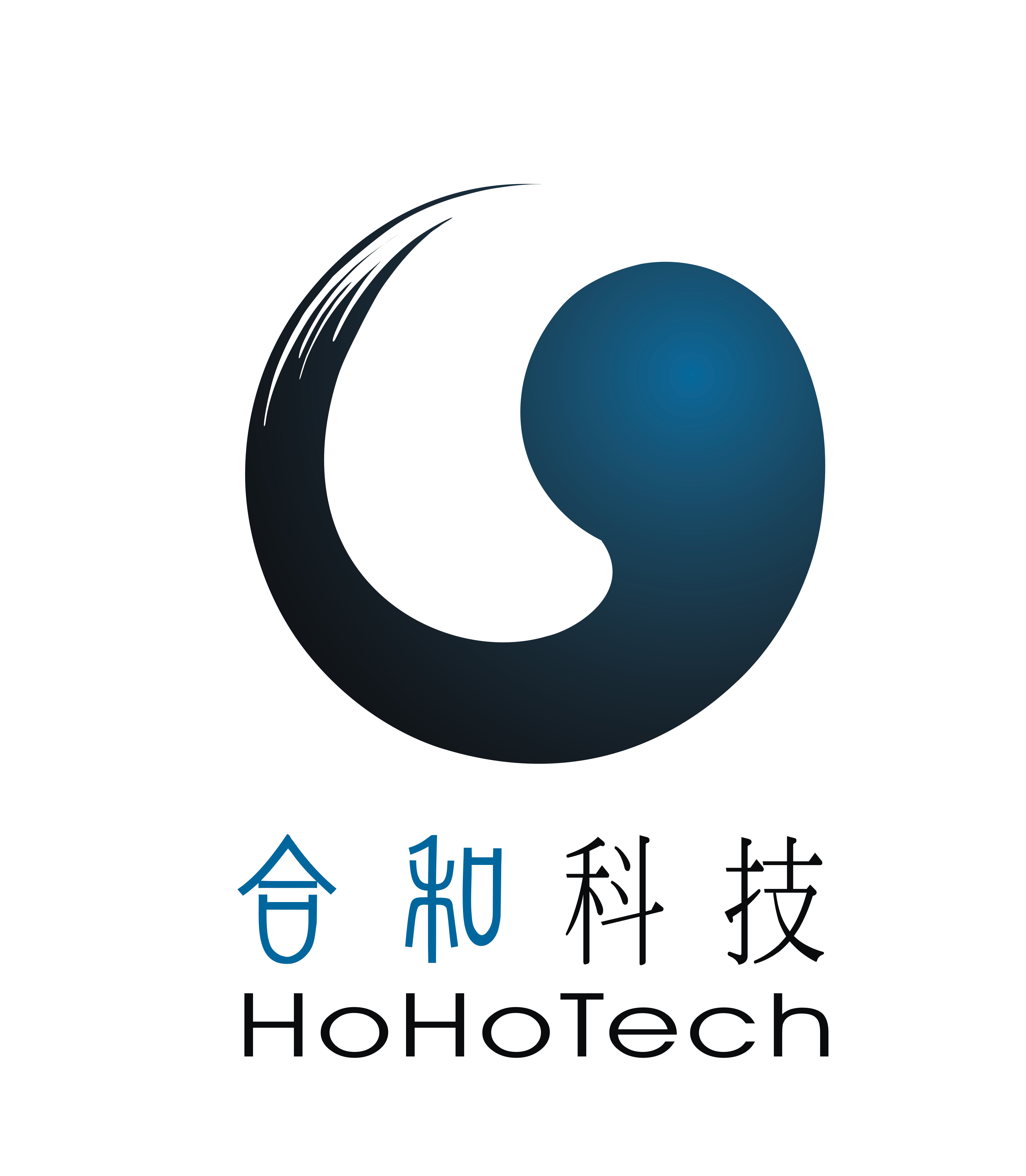 HoHoTech Holdings, HoHo Technologies